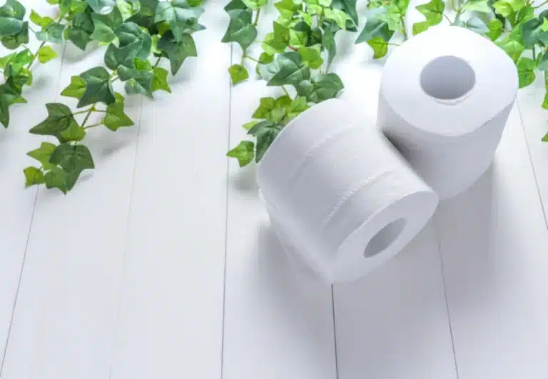 papel o celulosa cual elegir en horeca